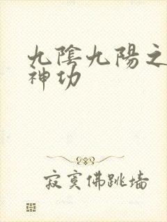 九阴九阳之阴阳神功