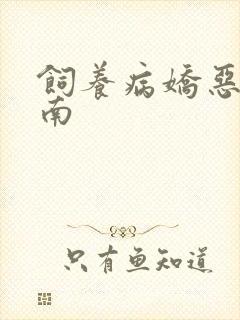 饲养病娇恶龙指南