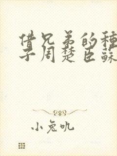 借兄弟的种生孩子周楚臣苏糖