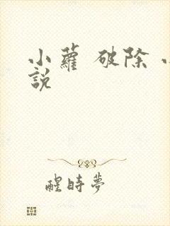 小萝 破除 小说