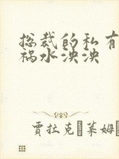 总裁的私有宝贝祸水泱泱