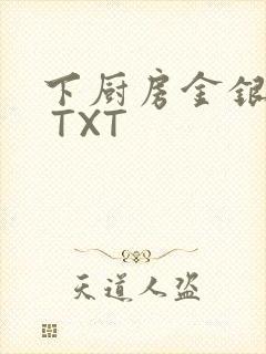 下厨房金银花露 TXT