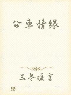 公车情缘