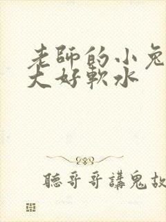 老师的小兔子好大好软水