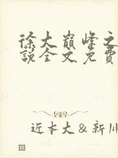 徐大巅峰之路小说全文免费阅读