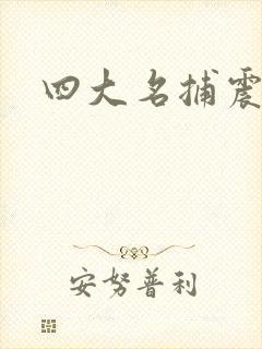 四大名捕震关东