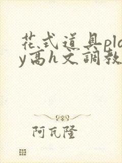 花式道具play高h文调教