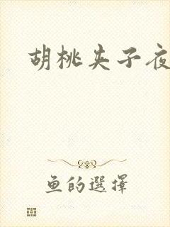 胡桃夹子夜未眠