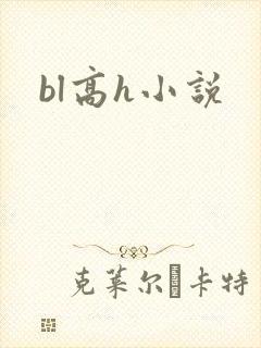 bl高h小说