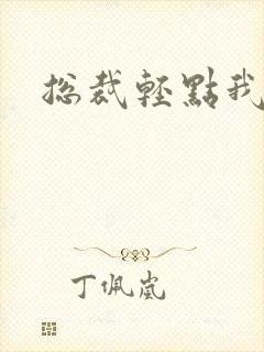 总裁轻点我怕疼