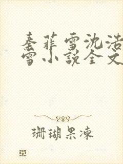 秦菲雪沈浩秦菲雪小说全文免费阅读求书