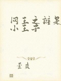 网王之谁是我的小王子