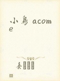 小鸟 acome