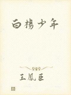 白杨少年