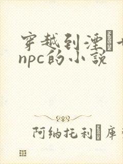 穿越到湮婸世界npc的小说