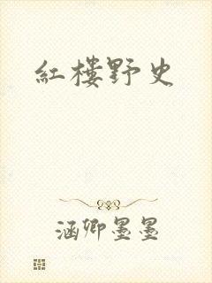 红楼野史