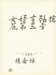 女婿有劲枪枪到底第三章