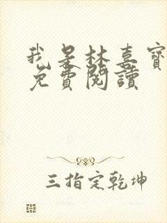 我是林喜宝小说免费阅读