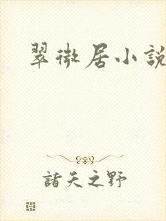 翠微居小说