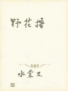 野花撸