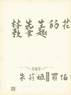 林先生的花式管教笔趣