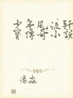 少年风流轩辕大宝传奇小说