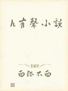 h有声小说