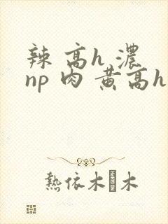 辣 高h 浓 np 肉 黄高h