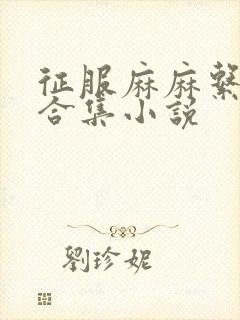 征服麻麻系列大合集小说