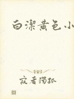 白洁黄色小说