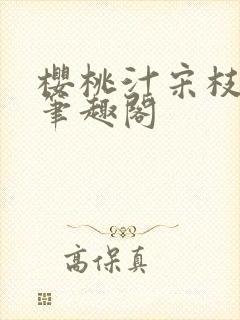 樱桃汁宋枝江野笔趣阁