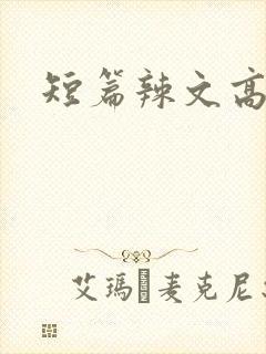 短篇辣文高h