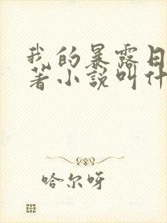 我的暴露日记原著小说叫什么