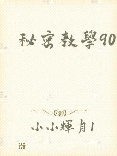 秘密教学90