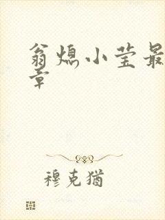 翁熄小莹最新节章