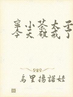 宁小茶太子殿下今天破戒了吗免费阅读