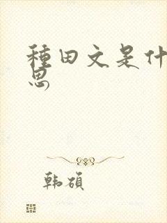 种田文是什么意思