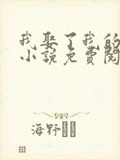 我娶了我的妈妈小说免费阅读