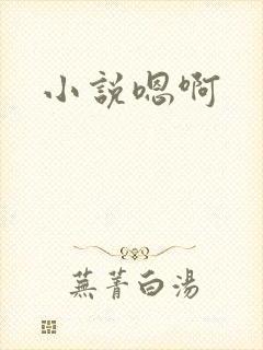小说嗯啊