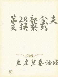 第28部分夫妇交换系列
