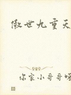 傲世九重天小说