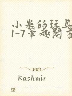 小米的玩具日记1-7笔趣阁有声