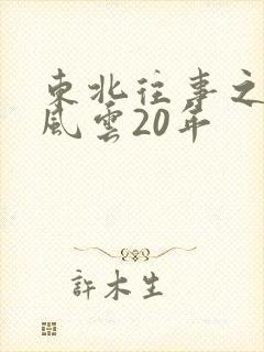 东北往事之黑道风云20年