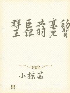 群臣共享的小公主银羽免背刺