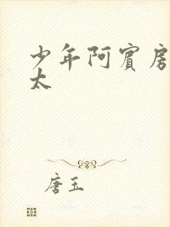 少年阿宾房东太太