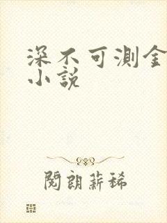 深不可测金银花小说