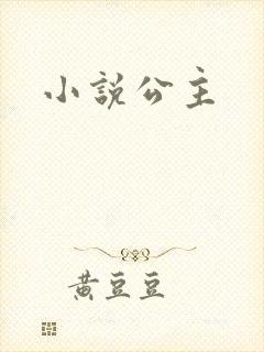 小说公主