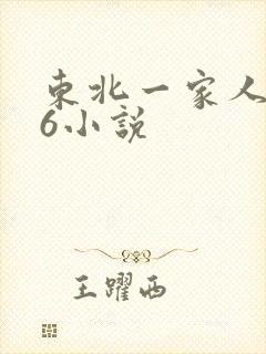 东北一家人1一6小说