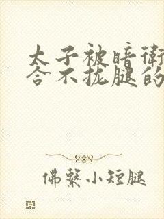 太子被暗卫c到合不拢腿的后果