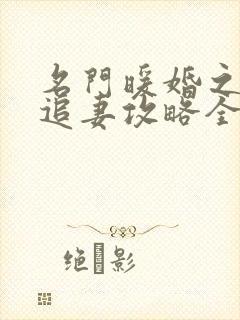 名门暖婚之权爷追妻攻略全文免费阅读